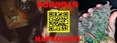 шишки Конаково