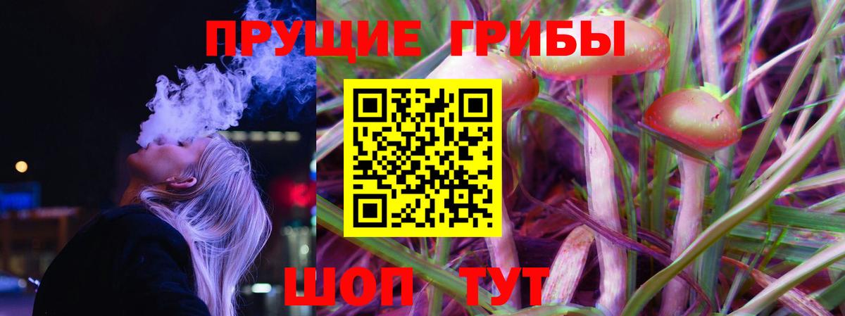Галлюциногенные грибы MAGIC MUSHROOMS Канск