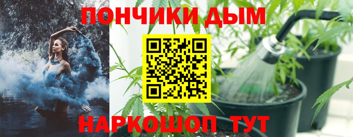 Бошки марихуана VHQ Канск